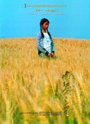 讨论魔兽争霸：战纪的未来发展与更新方向